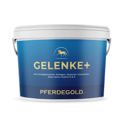 Blauer Behälter mit der Aufschrift Gelenke+ von Pferdegold, mit Pferdelogo; ideal zur Unterstützung der Gelenkpflege Ihres Pferdes. Die Produktangaben sind auf Deutsch.