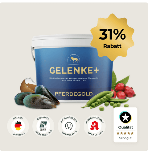 Pferdegold® Gelenke+ 31% von Pferdegold - Kräutermischung mit Hagebutten und Muscheln für Gelenke. Jetzt mit fetter 31% Rabatt-Plakette! Perfekte Unterstützung für die Gesundheit der Gelenke Ihres Pferdes.