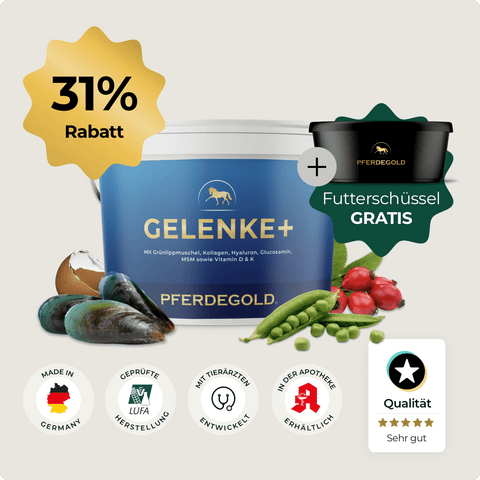 Blaue Pferdegold® Gelenke + Behälter mit Muscheln, Erbsen, kostenloser schwarzer Futternapf und 31% Rabattmarke - Premium Pferdegold Gelenkunterstützung für Pferde.