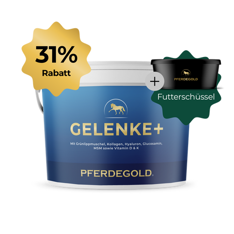 Pferdegold® Gelenke + Futterschüssel 31% Rabatt: Holen Sie sich die blaue Hyaluron & Grünlippmuschel GELENKE+ Wanne von Pferdegold® mit goldener 31% Rabatt-Plakette und erhalten Sie als Bonus eine schwarze Futterschüssel.