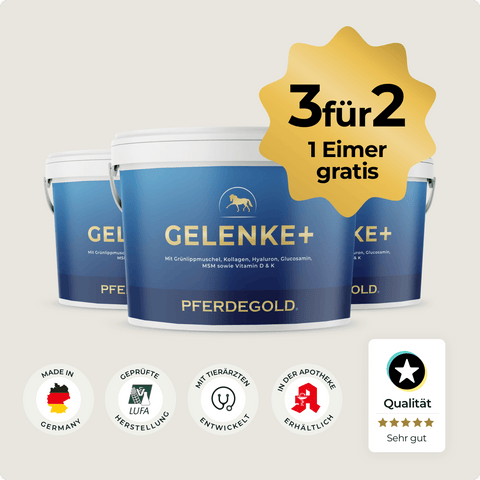 Drei blaue Pferdegold® Gelenke+ 3 für 2 Wannen mit Produktqualitätsplakette unten, ideal zur Unterstützung gesunder Gelenke bei Pferden.