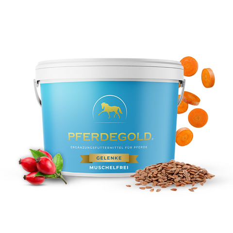 Pferdegold Gelenke muschelfrei