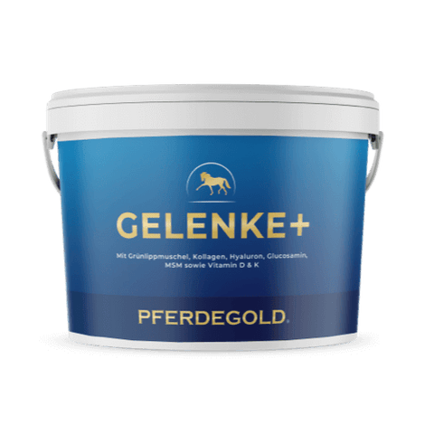 Blau-weißer Pferdegold® 3 für 2 - Gelenke+-Behälter mit Pferdelogo und deutschem Text, der auf die bewährte Pferde-Ergänzungsmarke für Gelenkgesundheit hinweist.