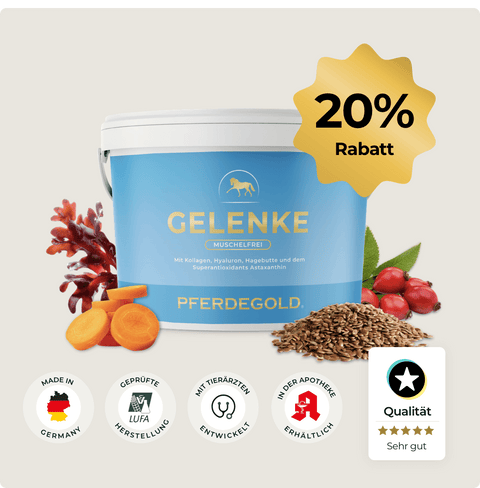 Eine blaue Dose Pferdegold® Gelenke Muschelfrei 20 % mit einer goldenen 20 % Rabatt-Plakette, Abbildungen der Inhaltsstoffe und wichtigen Extras wie Kollagen und Hyaluron - ideal auch für den empfindlichen Magen.