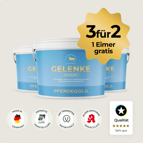 Drei blaue Kübel Pferdegold® Gelenke Muschelfrei 2.0 3für2, mit Qualitätsplaketten unten - perfekt zur Unterstützung der Gelenke, auch für Pferde mit empfindlichem Magen.