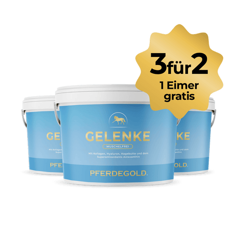 Drei blaue Dosen Pferdegold® 3 für 2 - Gelenke Muschelfrei mit goldener "3 für 2, 1 Eimer gratis" Plakette-ideal zur Unterstützung der Gelenke und auch für empfindliche Pferdemägen geeignet.