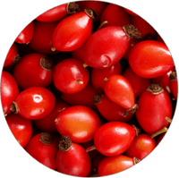 rose hip