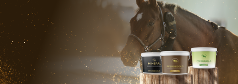 Fellwechsel-Sale

Bis zu 25 % auf Bundles