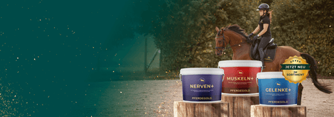 Das NonPLUSultra

für dein Pferd!