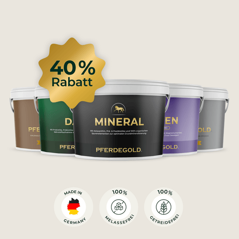 Fünf „Herbst Reset“-Behälter von Pferdegold® mit einem goldenen „40 % Rabatt“-Etikett und darunter befindlichen Symbolen für Qualitätsmerkmale – ideal für die Nährstoffversorgung während des Fellwechsels und im Herbst.