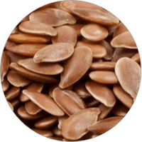 Leinenextraktionsschrot