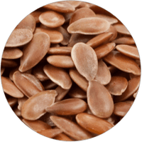 Leinextraktionsschrot