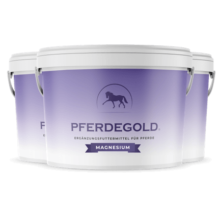 Drei Pferdegold Magnesium-Ergänzungseimer für Pferde - weiß und lila mit Pferdesilhouette - ideal für die Muskelregeneration und zur Verbesserung der Ausdauer von Pferden.