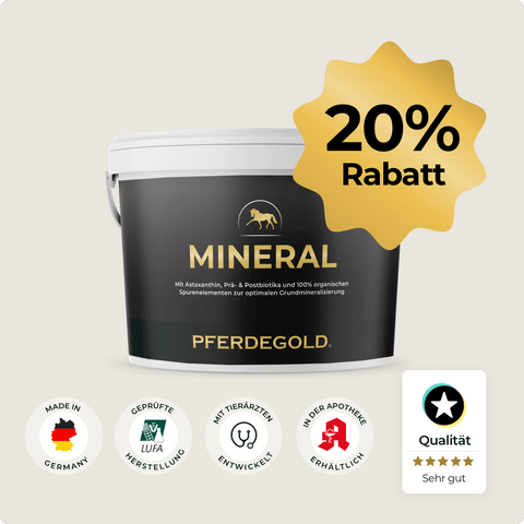 Ein schwarzer Eimer Pferdegold® Mineral 20% mit organischen Spurenelementen, ein goldener Sternenhimmel mit 20% Rabatt und fünf Qualitätsplaketten.