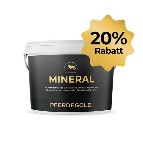 Schwarzer Behälter mit der Aufschrift Pferdegold® Mineral 20% und dem goldenen Sternchen "20% Rabatt" auf dem Deckel, mit Mineralstoffen und organischen Spurenelementen für eine optimale Ernährung.