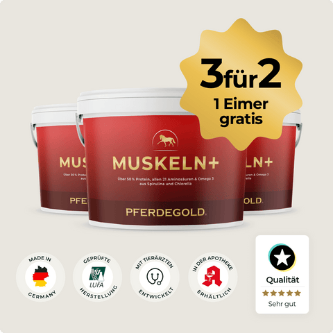 Drei Eimer Pferdegold® Muskeln+ 2.0 3für2 mit Angebotsetikett und Qualitätsplaketten - ideal für effektiven Muskelaufbau und starke Pferdemuskeln.