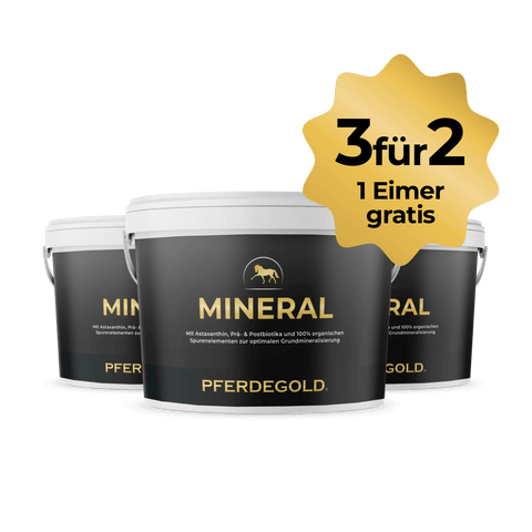 Drei schwarze Pferdegold® Mineral 2.0 3für2 Eimer mit dem gelben Werbeetikett "3 für 2, 1 Eimer gratis".