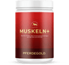 Roter Behälter mit der Aufschrift Pferdegold Muskeln 2.0, ein Proteinpräparat mit Aminosäuren und Omega-3 zur Unterstützung der Pferdemuskulatur.