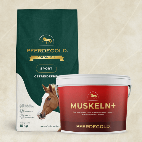 Ein Pferdegold Sport Bundle: Muskelprotz getreidefrei wird auf einem hellen Hintergrund angezeigt.