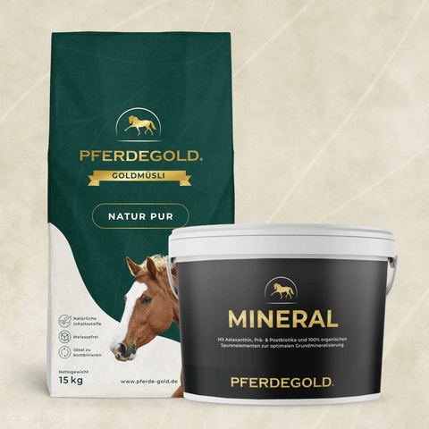 Das Pferdegold Basic Bundle: Naturkraft enthält getreidefreies Pferdefutter und ein Mineralstoffpräparat, beide mit einem Pferdebild versehen.