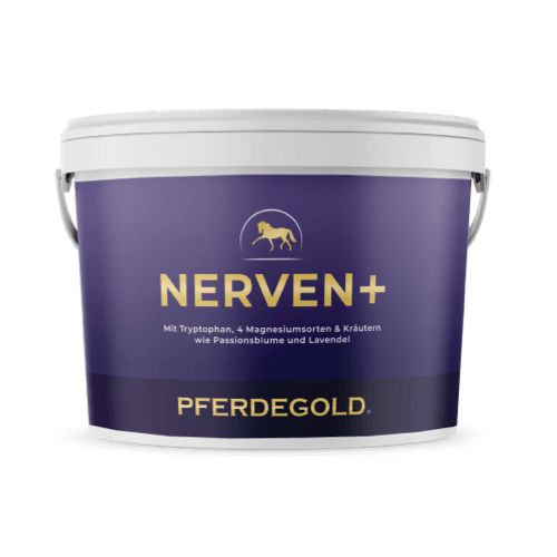 Ein lilafarbener Eimer mit der Aufschrift Nerven+ mit Tryptophan von Pferdegold, ein Ergänzungsfuttermittel für Pferde mit Tryptophan und Kräutern zur wirksamen Beruhigung.
