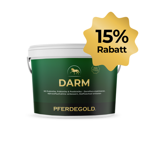 Pferdegold® Darm 15 % Ergänzungsfuttermittel Wanne mit goldenem Sternchen mit 15% Rabatt - ideal zur Unterstützung der Dickdarmgesundheit und für Pferde mit Verdauungsstörungen.