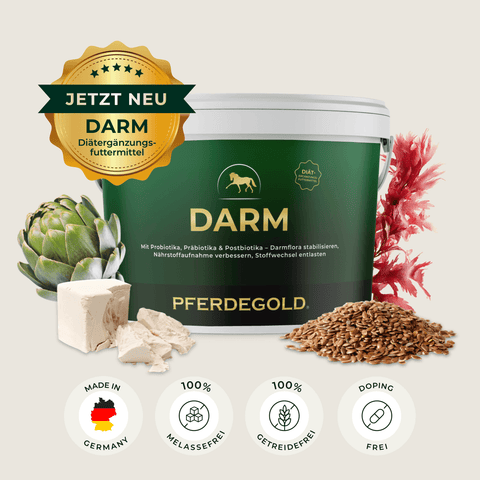 Pferdegold Darm Pferdeergänzungsbecher mit Artischocke, Tofu, Leinsamen und Rotalgen - ideal als Ergänzungsfutter zur Unterstützung des Wohlbefindens Ihres Pferdes.