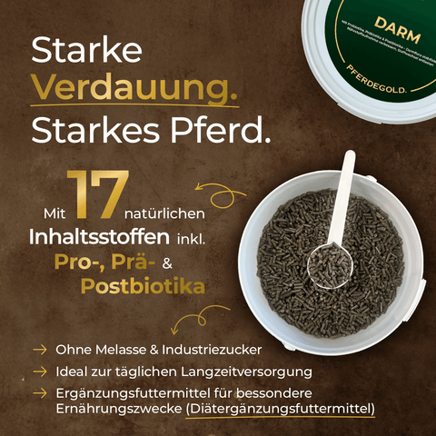 Brauner Hintergrund mit einer Schale mit dunklen Pellets, einer weißen Schaufel und einem fettgedruckten Text, der Pferdegold Darm zur Unterstützung von Pferde Magen hervorhebt.
