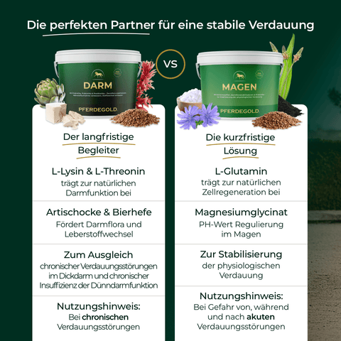 Pferdegold Darm ist ein Ergänzungsfuttermittel für Pferde mit der Bezeichnung "DARM" und bietet eine stabile Verdauung - ideal als Ergänzungsfutter zur Unterstützung der Darmgesundheit Ihres Pferdes.