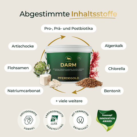 Pferdegold Darm Ergänzungsbecher, ein hochwertiges Ergänzungsfuttermittel für Pferde, mit Artischocke und Leinsamen-Inhaltsstoffen, die das optimale Wohlbefinden von Pferde Magen fördern.