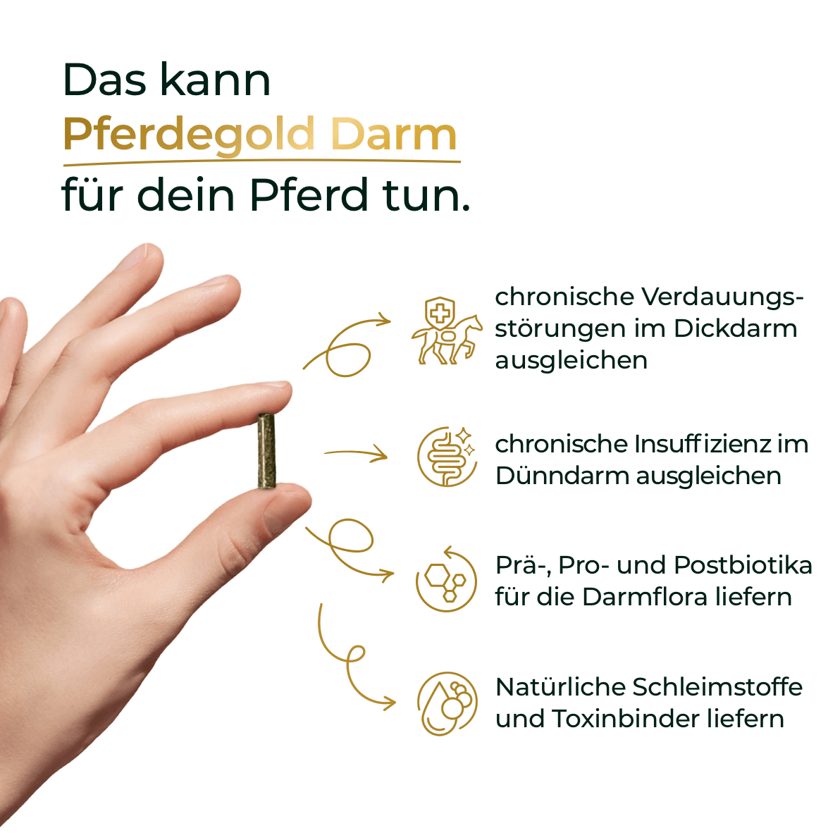 Hand hält eine Kapsel; Text nennt Vorteile von Pferdegold® Stressbalance (Darm + Nerven) für Pferde, wie Förderung der Verdauung und Unterstützung der Nerven bei Stress.