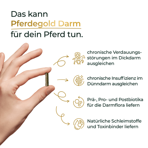 Eine Hand hält eine Kapsel, daneben Text zu den Vorteilen von Pferdegold Darm als Ergänzungsfutter für die Verdauung und Gesundheit sowie Pferdegold Magen zur Unterstützung eines gesunden Magens beim Pferd.