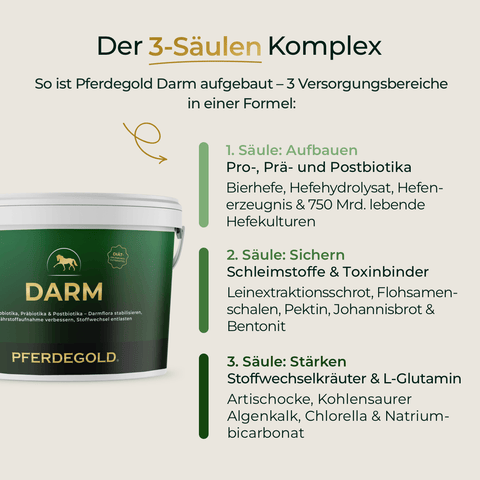 Weißer Behälter mit der Aufschrift Pferdegold Darm mit grünem Deckel und einem Text, der die 3 Säulen der Pferdegold-Ergänzung für eine optimale Darmgesundheit des Pferdes erklärt.