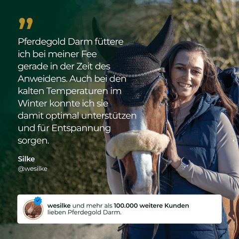Eine lächelnde Frau steht an einem sonnigen Tag neben ihrem Pferd und hält dessen Zügel. Beide sehen zufrieden aus, dank Pferdegold Darm - der bewährten Wahl für Pferde Nahrungsergänzung.