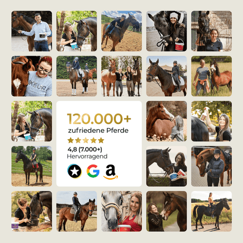 Collage von Menschen, die fröhlich mit Pferden interagieren, sowie Bewertungen und Bewertungssymbole für Google, Amazon und Trustpilot für Pferdegold® Magen-Darm Kur.