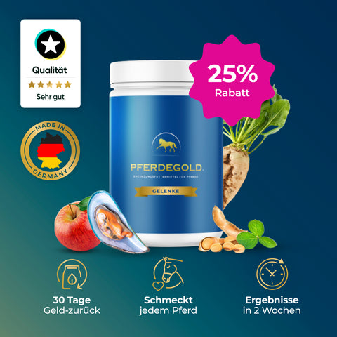 Pferdegold® Gelenke Tube 25%