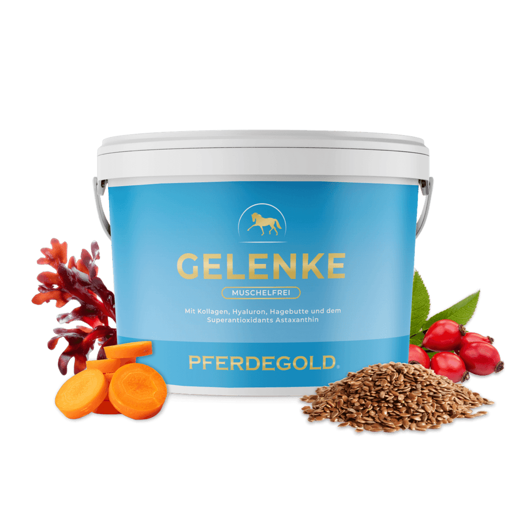 Pferdegold Gelenke ohne Muscheln Eimer