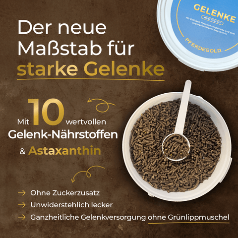 Öffnen Sie den Behälter mit Pferdegold® Gelenke Muschelfrei Nachfüller 3für2 (braune Pellets) mit einem Löffel; der Produktdeckel und der deutsche Text heben die Vorteile für die Gelenkgesundheit hervor.