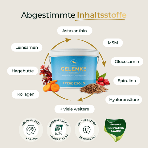 Ein Behälter mit „Pferdegold® Gelenke Muschelfrei Nachfüller 3für2“ ist von seinen Hauptinhaltsstoffen umgeben, die jeweils durch Text und Symbole hervorgehoben sind.
