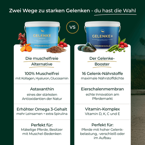 Vergleich zweier Pferdegold®-Produkte für Pferde: „Gelenke – Muschelfrei“ Nachfüllpackung „3 für 2“ mit Inhaltsstoffen, Vorteilen und stilisierten Produktbildern.