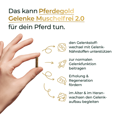 Hand hält Pferdegold® Gelenke Muschelfrei Nachfüllpackung 3 für 2; daneben Symbole und Text zu den Vorteilen für die Gelenke Ihres Pferdes.