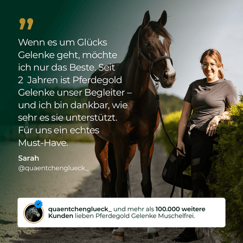 Eine Frau in Reitkleidung lächelt neben einem braunen Pferd auf einem sonnigen Weg, während sie die Zügel hält und den „Pferdegold® Gelenke Muschelfrei Nachfüller 3für2“ in der Hand hält – ein bewährtes Ergänzungsfuttermittel für die Gelenkgesundheit von Pferden.