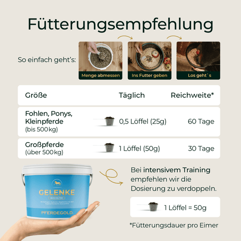 Fütterungsempfehlungstabelle für Pferdegold® Gelenke Muschelfrei Nachfüller 3für2 mit Angabe der Tagesdosis und der Reichtumsdauer für verschiedene Pferdegrößen.