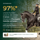 Eine Frau reitet auf einem Pferd; laut Text lag die Kundenzufriedenheit mit „Pferdegold® Gelenke – Muschelfrei – Nachfüllpackung 3 für 2“ in den letzten drei Jahren bei 97 %.