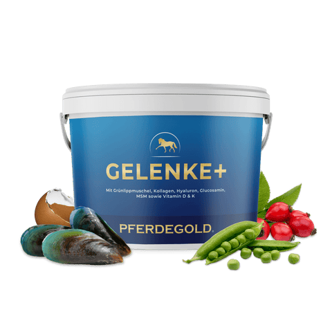 Gelenke+ von Pferdegold: Ein blauer Eimer mit grünen Erbsen, Miesmuscheln, Hagebutten und einer Eierschale daneben – eine nährstoffreiche Kombination, die speziell zur Unterstützung der Gelenke Ihrer Pferde entwickelt wurde.