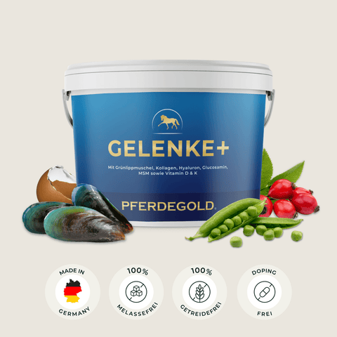Pferdegold Gelenke+ in der blauen Dose mit Symbolen für die wichtigsten Vorteile und Inhaltsstoffe wie Miesmuscheln, Erbsen und Hagebutten – die ideale Unterstützung für die Gelenke Ihres Pferdes.