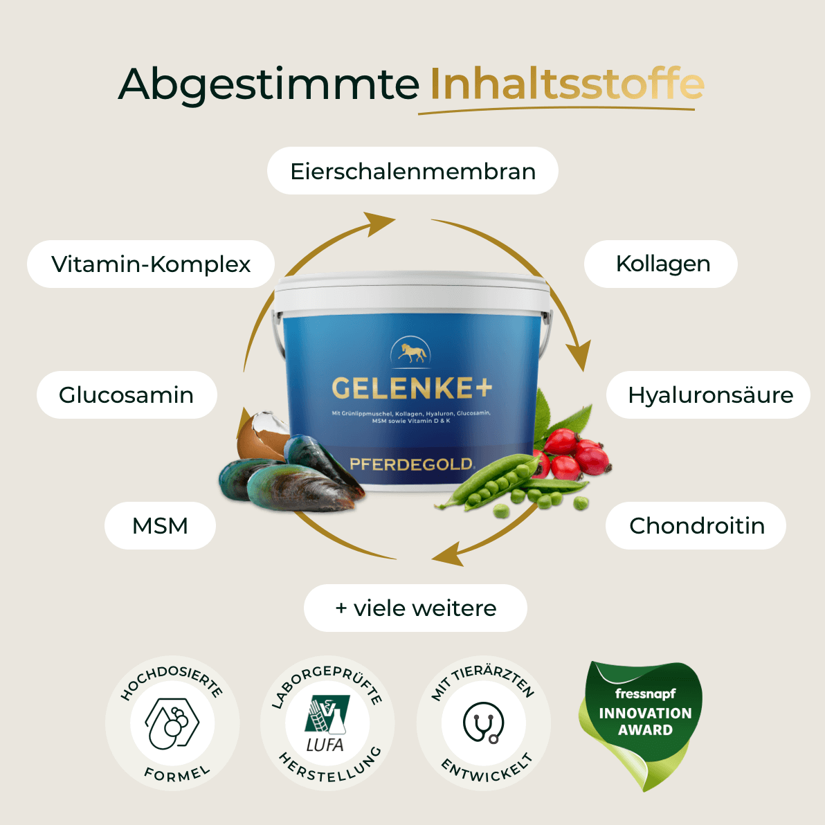 Der blaue Behälter des Ergänzungsmittels Pferdegold Gelenke+ ist umgeben von Symbolen der Inhaltsstoffe mit deutschen Namen, die auf die Unterstützung gesunder Gelenke in Ihrem Pferd hinweisen.