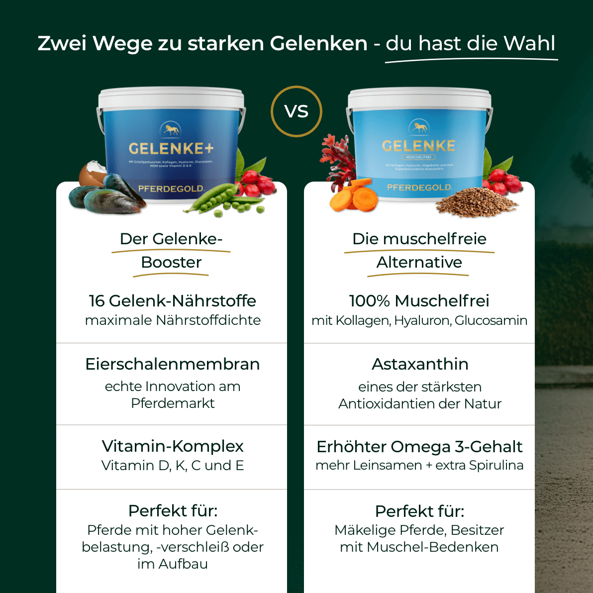 Vergleich von zwei Gelenk-Supplementen für Pferde mit Produktbehältern, Zutatenbildern und Detail-Featurelisten auf Deutsch. Ideal für effektive Unterstützung der Gelenke mit Pferdegold Gelenke+ geeignet.