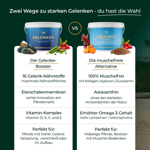 Vergleichstabelle von zwei Pferdegold® 3 für 2 - Gelenke+ Ergänzungsfuttermitteln für Pferde, mit Inhaltsstoffen, Vorteilen und Fotos der Behälter.