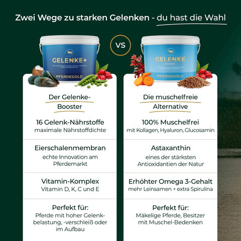Vergleich von zwei Gelenkergänzungsmitteln mit Inhaltsstoffen und Vorteilen, dargestellt mit Produktbechern und passenden Symbolen. Hervorgehoben: Pferdegold® Gelenke+ Nachfüllpack 3kg.